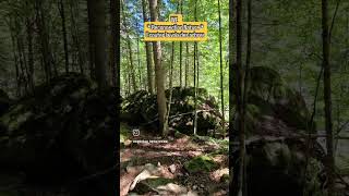 Message à méditer lors de vos balades en nature #medium #guidance #baladenature