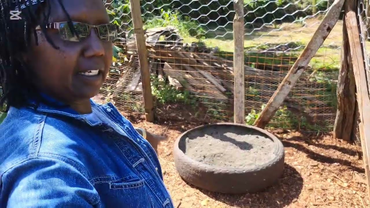 Жизнь на пенсии: улучшение курятника и домашний корм. @The Village Retiree.