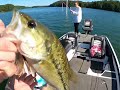 Memorial Day Weekend Bass Fishing Lake Allatoona