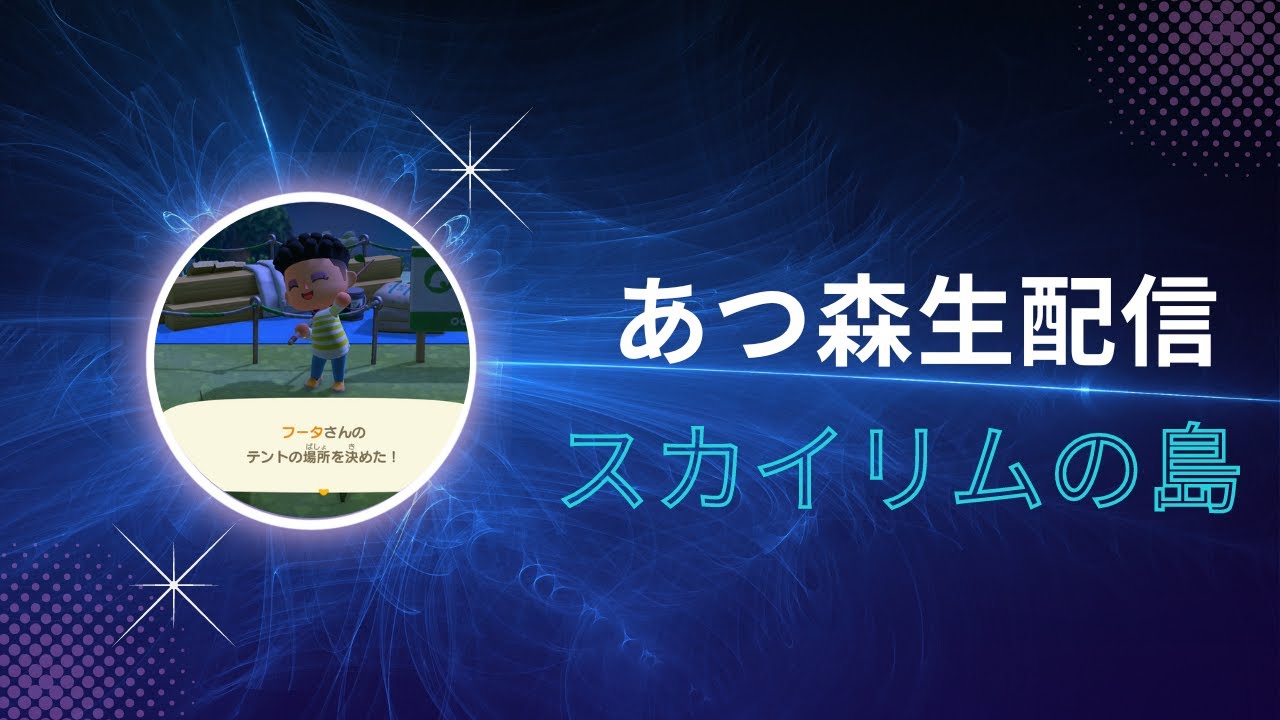 Switch どうぶつの森 Skyrim 【公式通販】