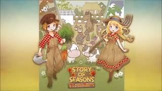 Part-Time Job [Story of Seasons: Trio of Towns Soundtrack]