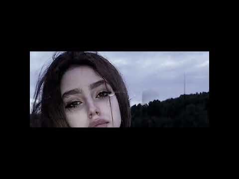 الباب يوسع جمل تصميمي ايموفي القديم بدون حقوق بدون اسم تامر ماجد المهندس 