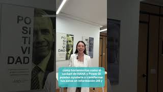 Opciones para cuadros de mando en SAP Business One