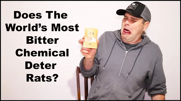 Does The World' Most BITTER Chemical Deter Rats? M...