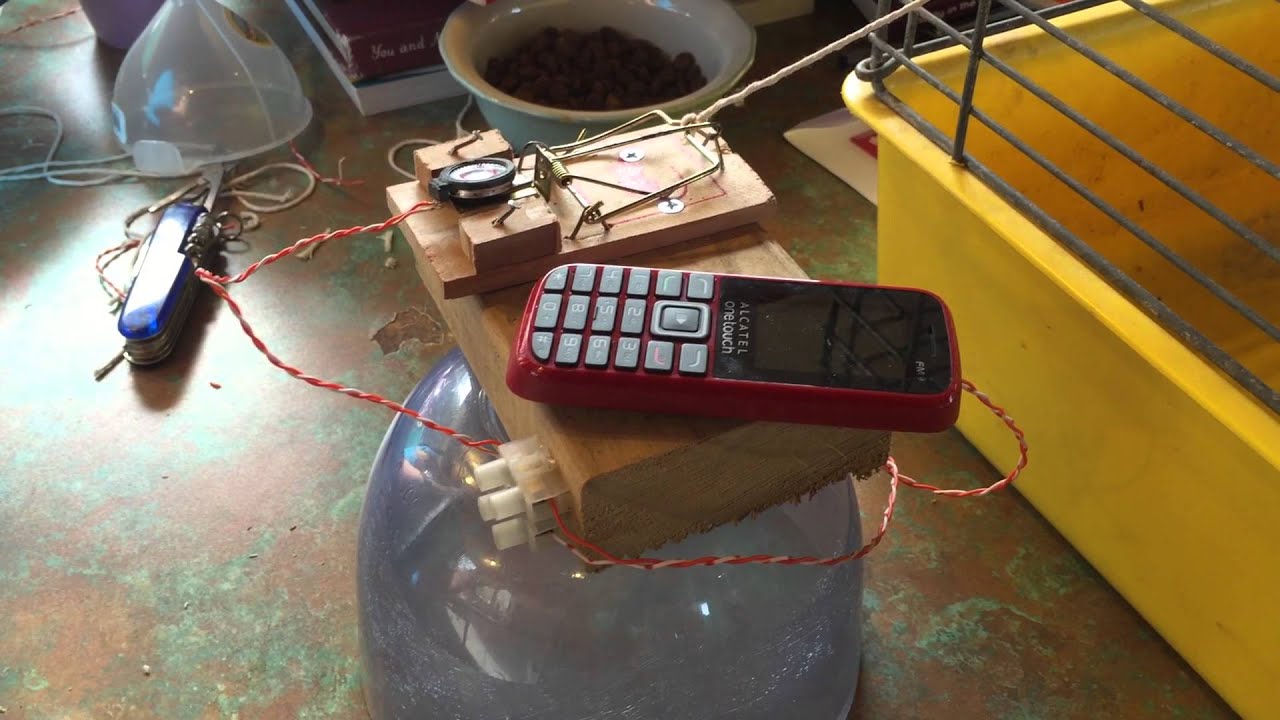 Automatic Guinea Pig Feeder Science Project Second Prototype