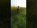 sabse Nik bate saiya kishani short video 😃#short