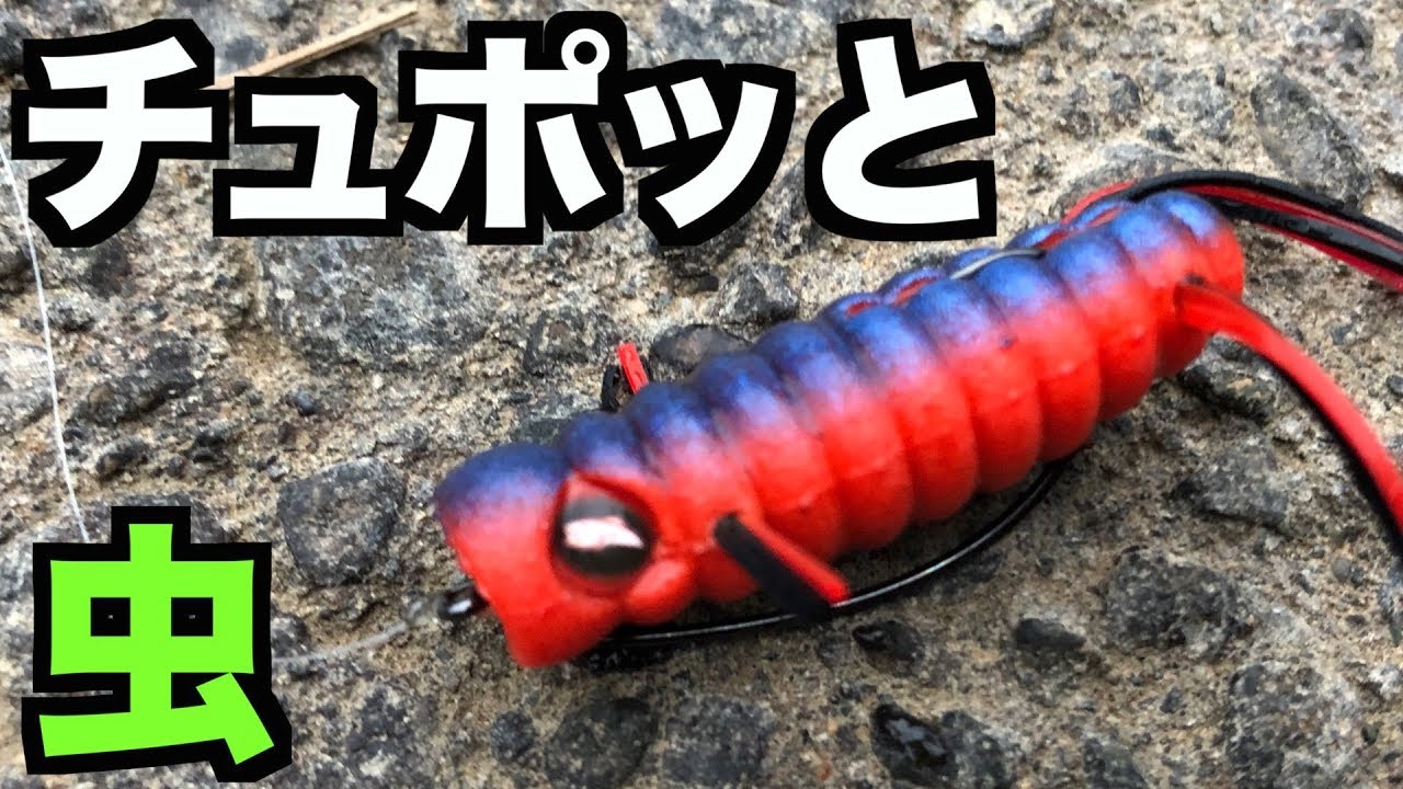 池の魚は虫が大好物 冬でも虫ルアーは釣れる Youtube