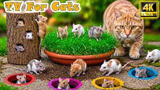 Ultimate Cat TV: Keep Cats Happy All Day Long with Fun Mouse TV | Best Videos for Cats Home Alone screenshot 5