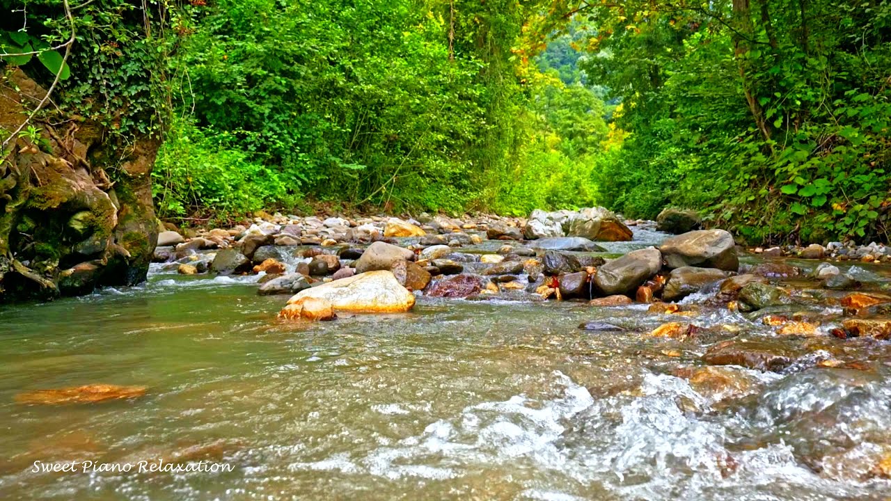 Obejrzyj River Sounds Relaxing Music - Relaxing Piano, Forest Nature Sounds, Bird Songs and Water Sounds w YouTube Obejrzyj River Sounds Relaxing Music - Relaxing Piano, Forest Nature Sounds, Bird Songs and Water Sounds w YouTube