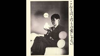 Haruomi Hosono presents - Non-Standard Label 1985-1988 (ノンスタンダードの響き Part III)