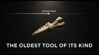 Ancient Elephant Bone Tool A 480,000 Year Old Marvel