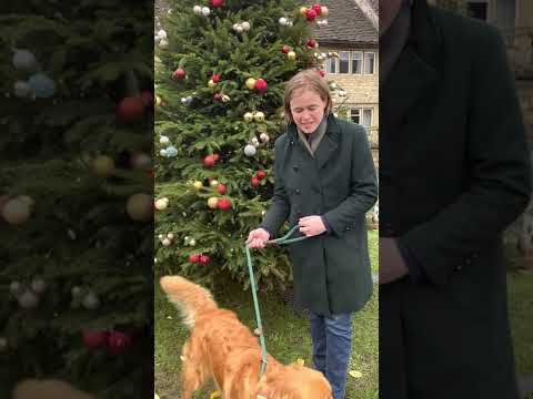 8. Hope Amidst Heartache: Wisconsin's Christmas Message Of Strength