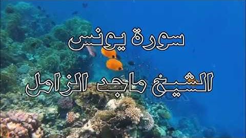SOURAT YOUNES- 4K -سورة يونس (10) الشيخ ماجد الزامل