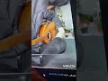 سماعي نهاوند عل بزق music mp3