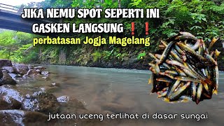 I FOUND A SPECIAL UCENG SPOT ON THE JOGJA-MAGELANG BORDER||fishing for uceng and wader MS-523