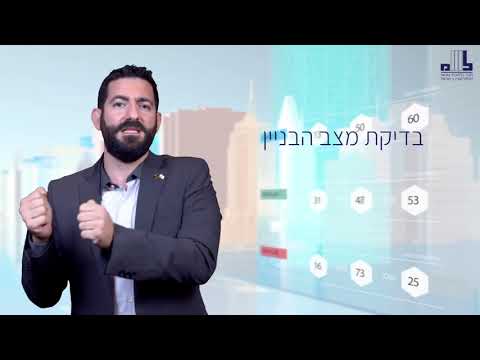 שמאות טרום רכישה ניצן גרינפלד