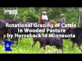 Rotational Grazing in Wooded Pasture by Horseback in Minnesota