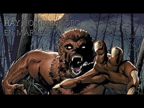 Hay Hombres Lobo en Marvel?? | MAN-WOLF (Hombre Lobo) / (TikTok).