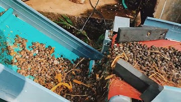 Pembersih kotoran kambing otomatis berbasis plc outseal arduino nano dan esp32