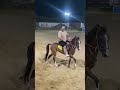 شوفت الفارس وهو بيتدنجل فارس حصان اكسبلور متابعه 