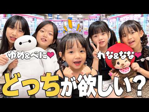 [Collab] Crane Game Battle! Who knows Meitan the best? 😁 @nanastudio0325 @KomuBeniChannel