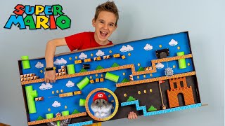 СДЕЛАЛ ИГРУ SUPER MARIO ИЗ КАРТОНА  ДЛЯ ХОМЯЧКА