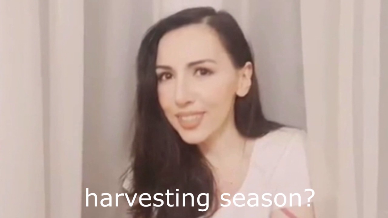 It's almost harvesting season, but is it? [ASMR]