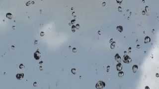 Rain Drops [Video Installation]