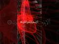 Or phir wo Allah hi hy jo har chiz ka nizam chala raha hy #islamicstatus #islamicvideo
