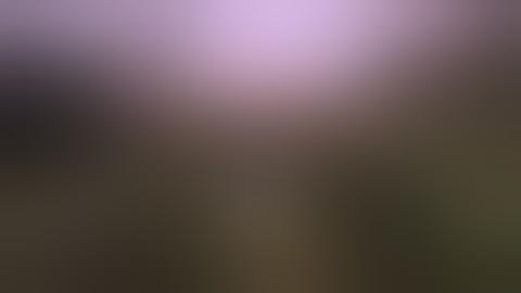 Saints Row 1 How to Make Easy Money