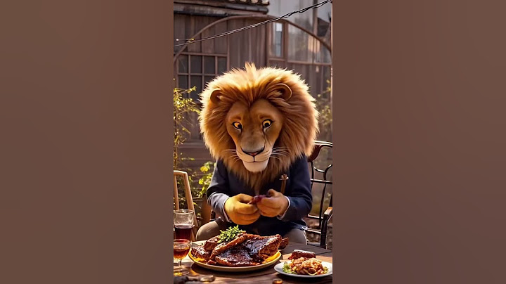 Orange Cat  Thought the brotherhood was strong, but unexpectedly the lion 'betrayed' him painfully!
