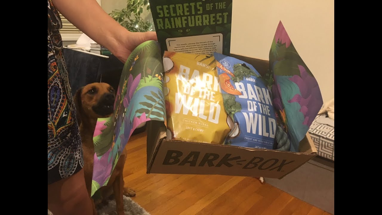 BarkBox Unboxing & Review - August 2018 for Medium Dogs