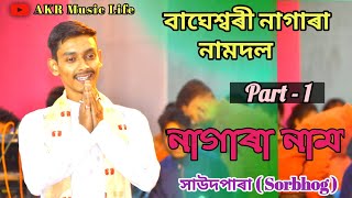Utpal Haloi Nagar Naam // bageshwari Nam Dol // Live From সাউদপাৰা Sorbhog ( Borpeta )