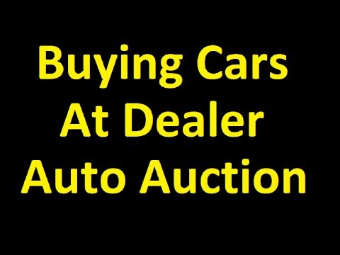WHOLESALE AUTO AUCTION 2500 CARS WHOLESALE BIDDING USED CAR VIDEO