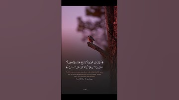 سورة الإسراء 44 | هزاع البلوشي #