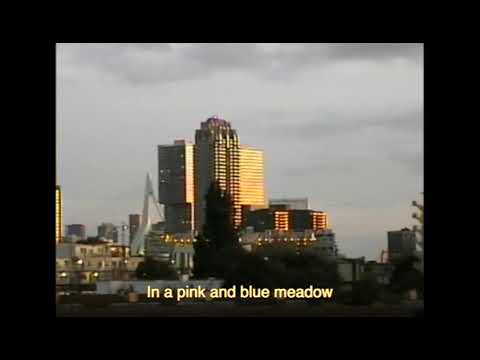 Wildflower (lyric video)