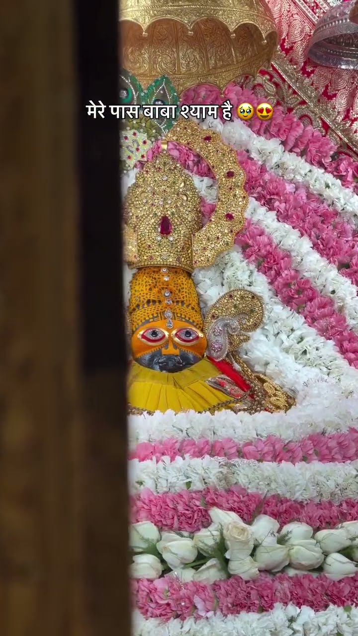 👌 छत्तीसगढ़िया सबसे बढ़िया - ShareChat