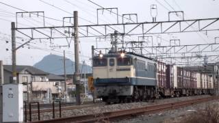 JR貨物 5087列車 EF65 2119号機[新]+コキ車20両編成(50000形式)