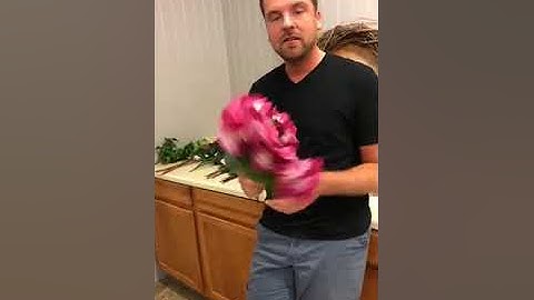 Designer Spring Wreath |  Dylan Live Demo