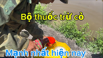 Diệt Cỏ 1 Lần – Sạch Gốc 3 Tháng! Bộ Thuốc Mạnh Nhất 2025 Nhà Nông Đang Tìm