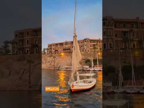 طلب القهوة ومشربهاش جبنا القهوة وهوة مجاش لايك اكسبلور حالات واتس متابعه اشتراك اشتراك بالقناة