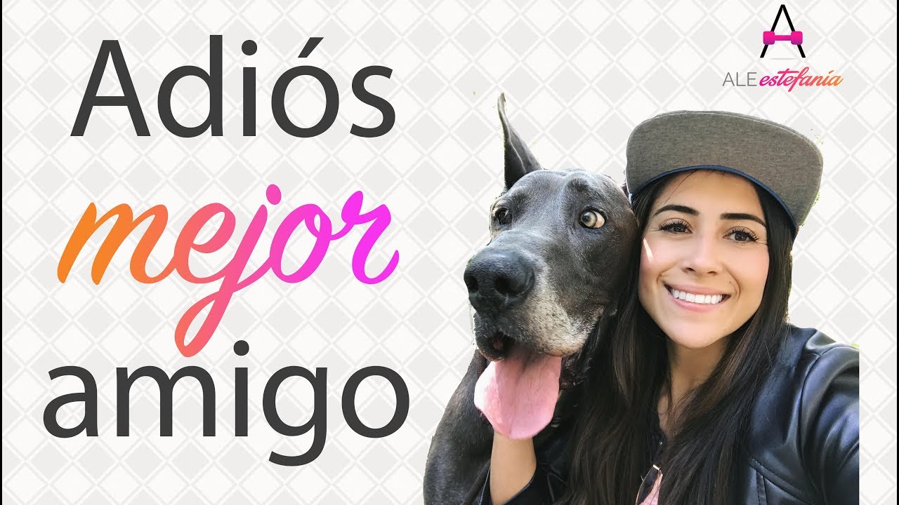 Cómo superé la pérdida de mi perro Gandalf?