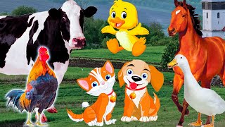 Interesting farm animals: dog, cat, horse, pig, chicken, cow - Part 6