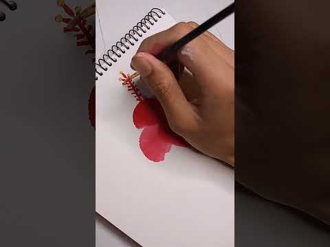 Hibiscus Flower painting