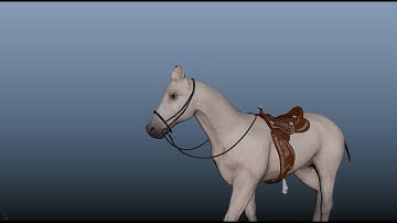 #horse #3danimation #3drigging #dynamic #walkcycle #maya | Horse rigged