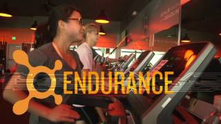 Full Orangetheory - Best 1 hour workout Guide