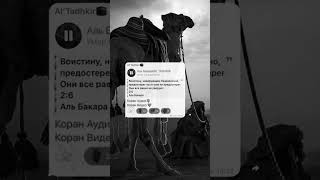 Аудиозаписи Корана сылка в шапке профиля #напоминание #коран #мусульмане #сунна #хадис #хадисы #умма