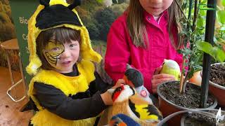 Teagasc at Bloom 2022 screenshot 4