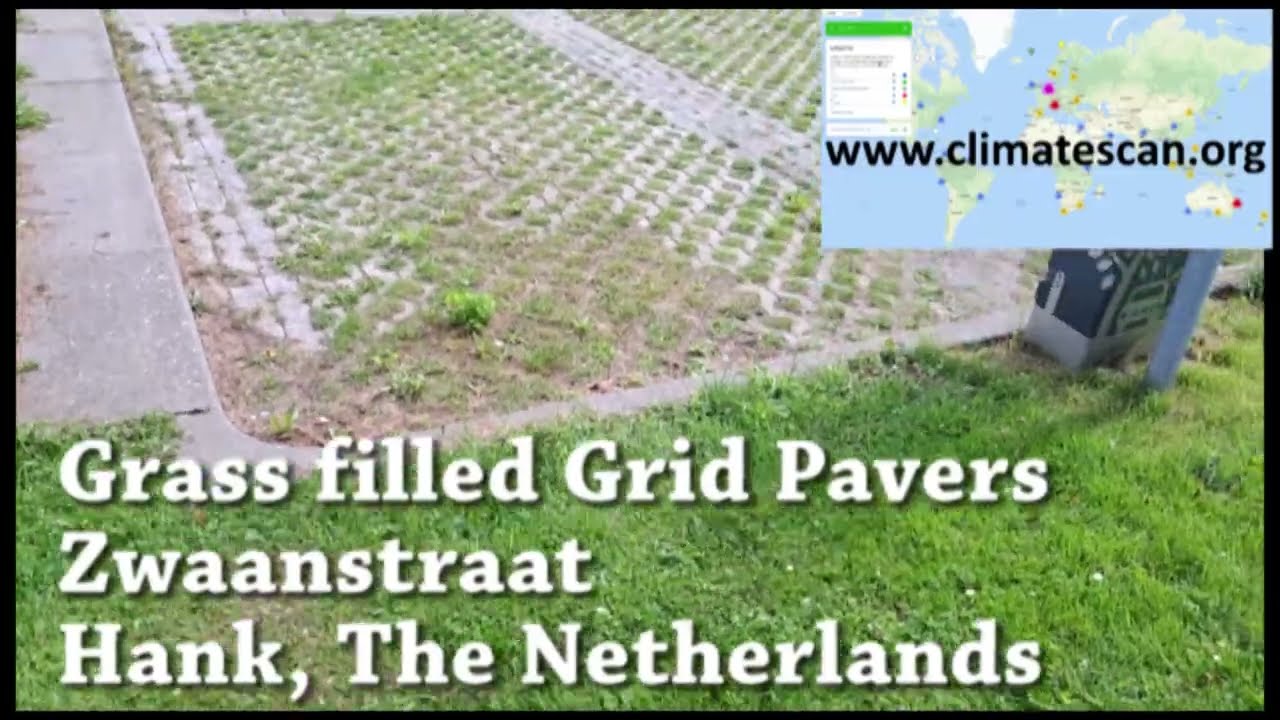 Grass filled Grid Pavers Zwaanstraat Hank, The Netherlands