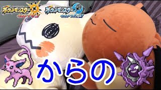 エーフィのケツをがっちり掴んでパルパルしたすぎるｗｗｗ【ポケモンUSUM実況】